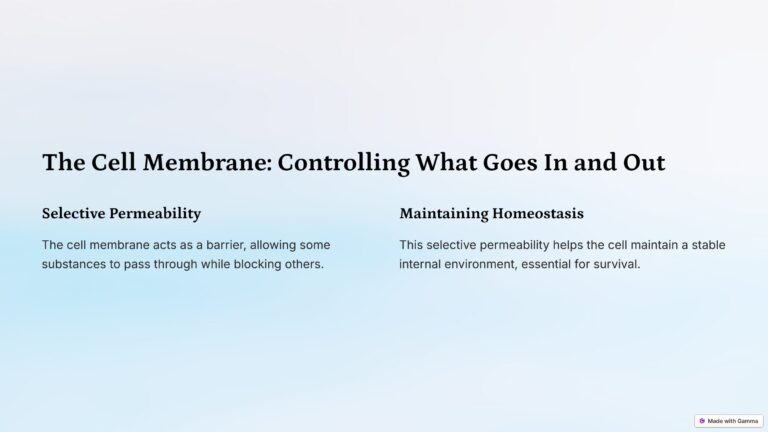 2_The-Cell-Membrane-Controlling-What-Goes-In-and-Out