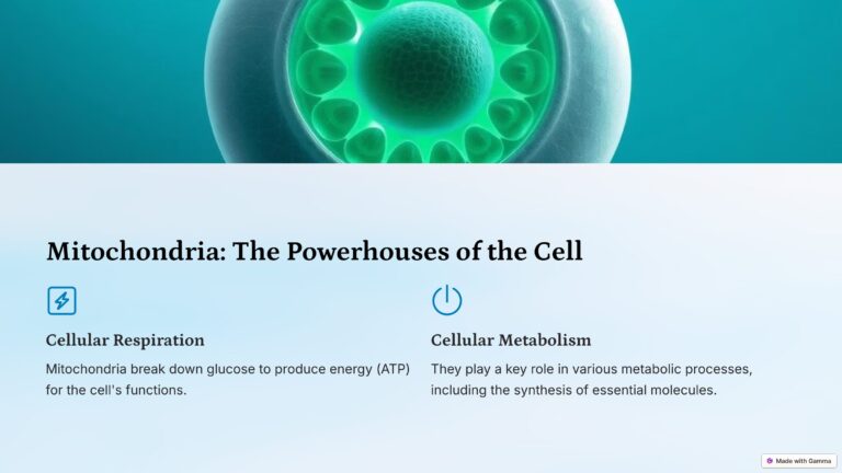 4_Mitochondria-The-Powerhouses-of-the-Cell
