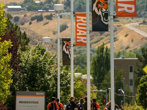 ISU campus with multiple flags featuring its mascot